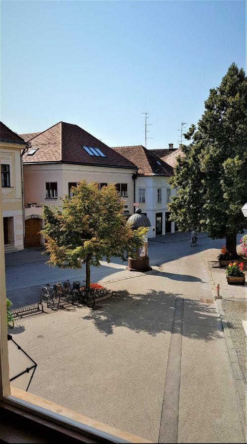 Luxury Apartment In The Heart Of Varazdin Bagian luar foto